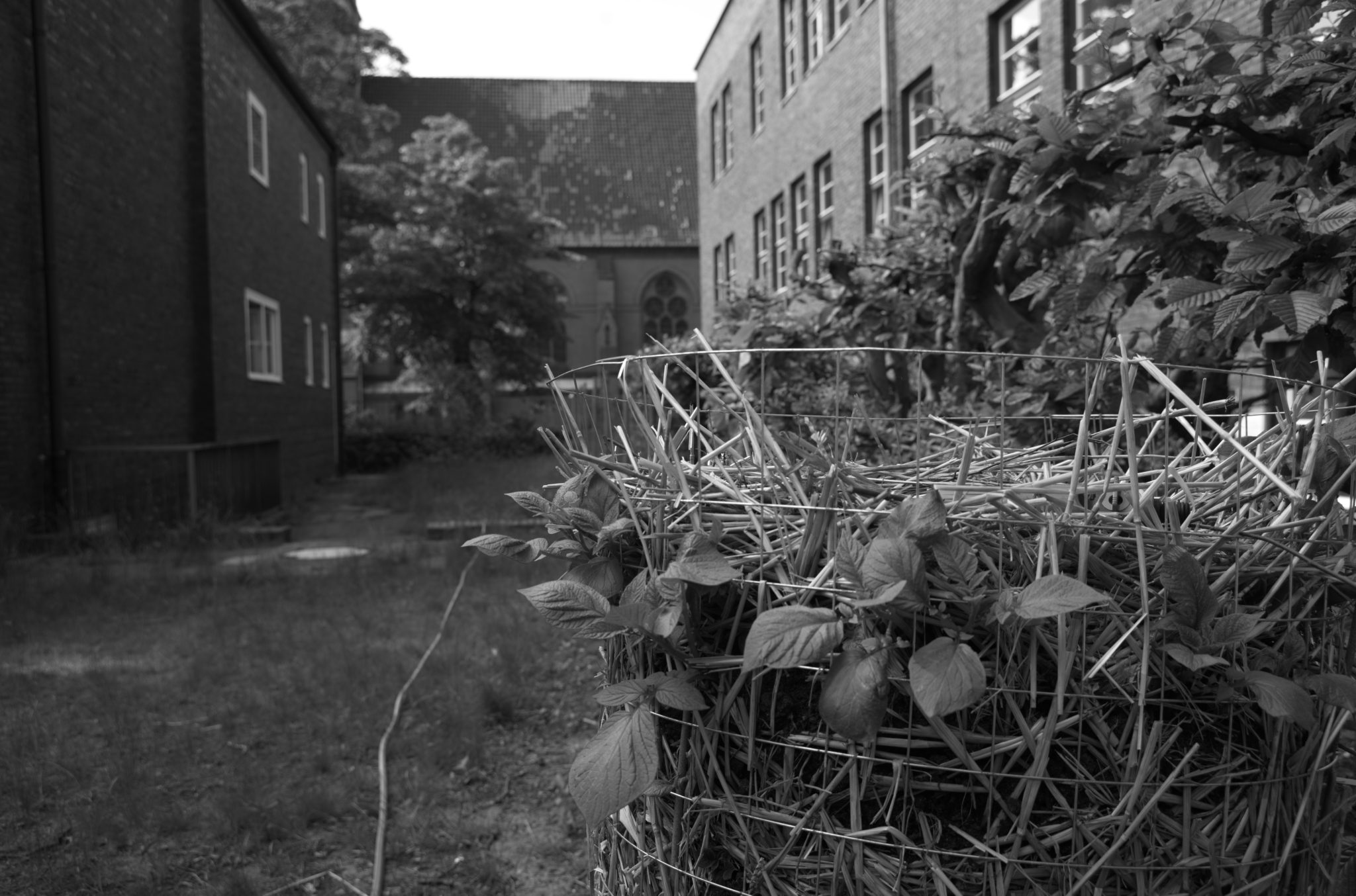 20210602  Gruen(t)raumHeimfeld 004